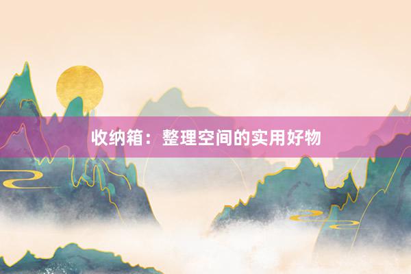 收纳箱：整理空间的实用好物